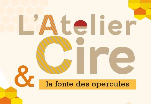 Notre guide complet sur la fonte des opercules