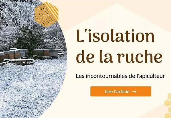 Les indispensables de l'apiculteur : l'isolation de la ruche